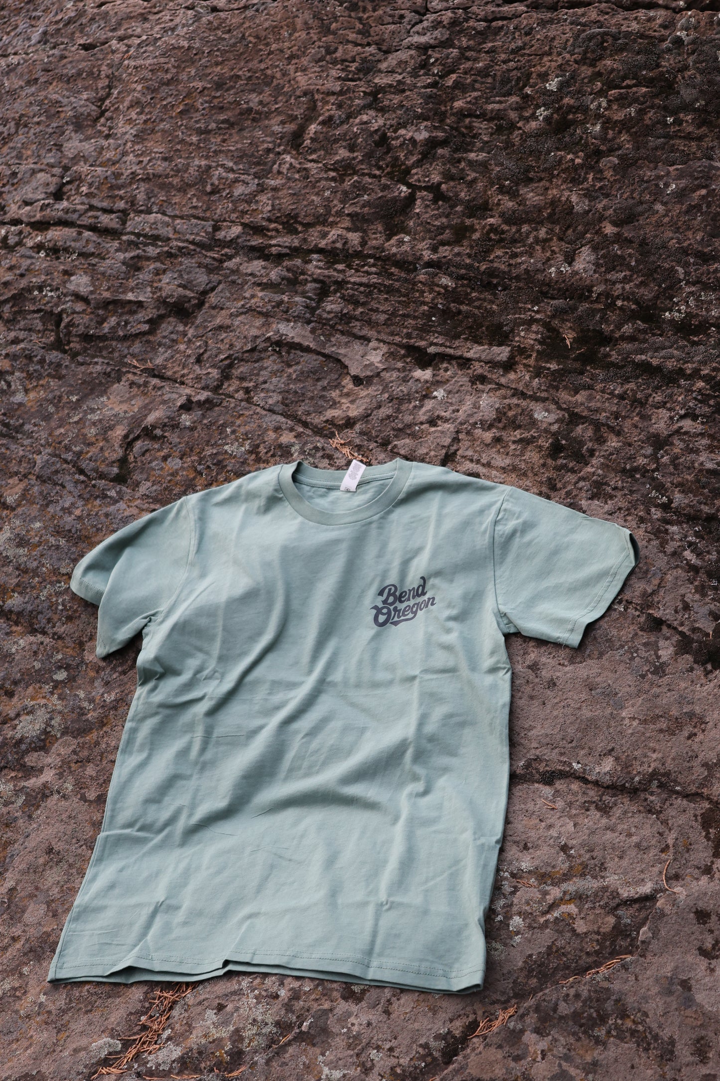 The Bend Scene Tee